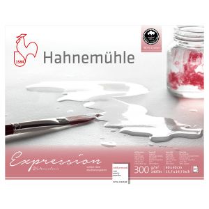 Hahnemühle Expression Watercolour matt 20 Blatt, 300g/m²