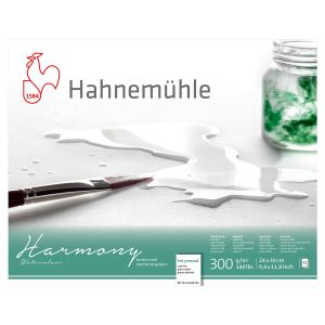 Hahnemühle Harmony Watercolour satiniert 300g/m², 12 Blatt