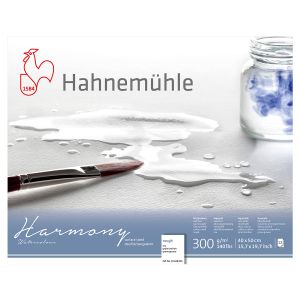 Hahnemühle Harmony Watercolour rau 300g/m², 12 Blatt