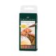 Pitt Artist Pen Brush 6er Etui Terra